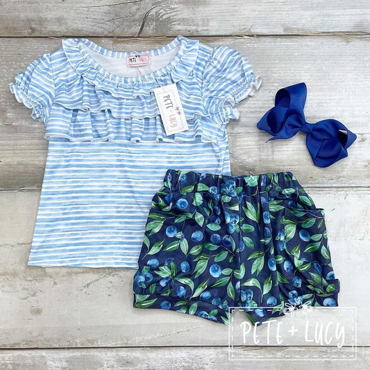 Blueberry Farm Set